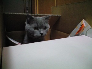 みんな何をしているのかな～