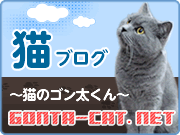 猫ブログ～猫のゴン太くん～はこちら