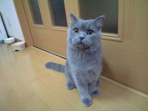 ゴン太です、Sさんありがとう！