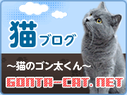 猫ブログ ～猫のゴン太くん～